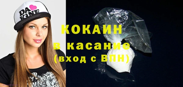 крисы Абаза