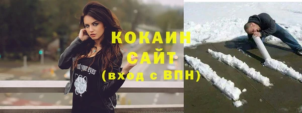 крисы Абаза