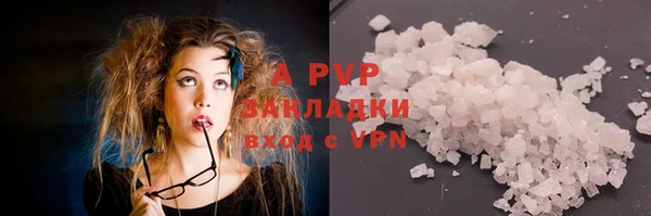 крисы Абаза