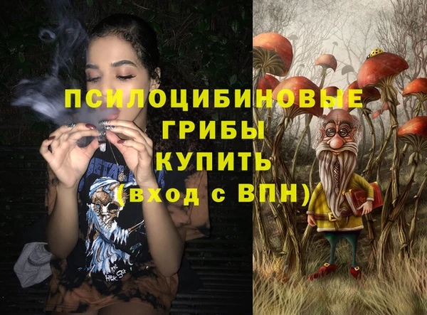 крисы Абаза