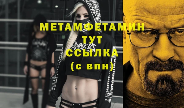 крисы Абаза