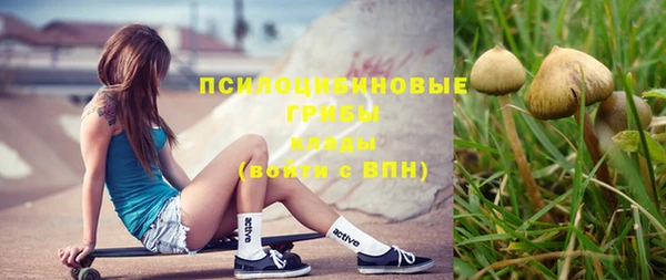 винт Абинск